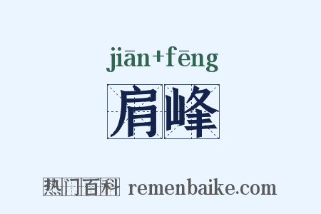 肩峰是什么意思的图片